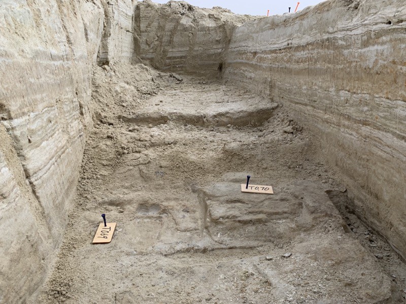 Prints at the base of the trench.