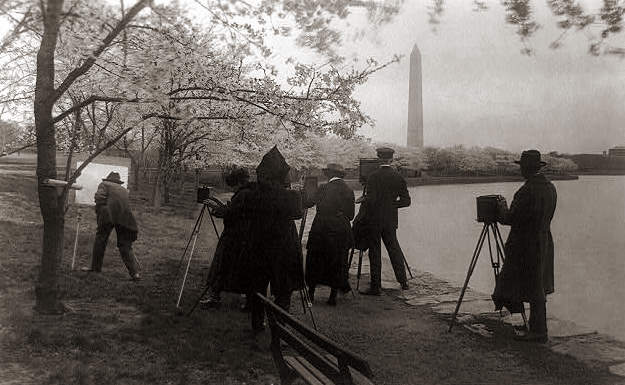 Beginning of the Cherry Blossom Festival in the US