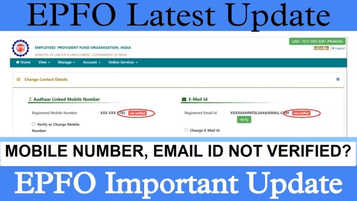 Update mobile number, email in EPF account: Here's how